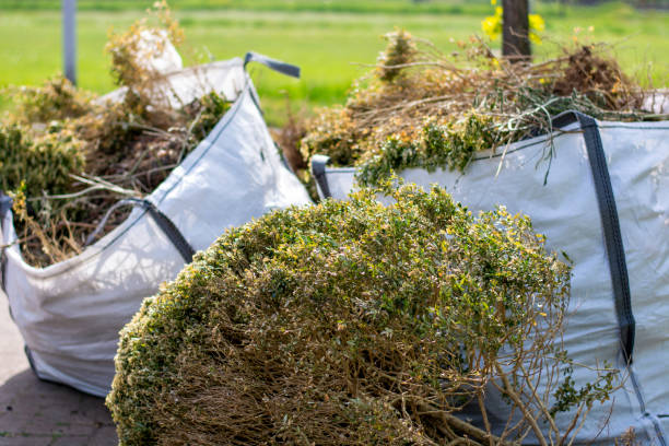 Best Attic Cleanout Services  in Smackover, AR
